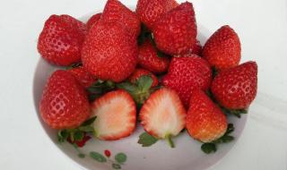 现在草莓多少钱一斤 草莓一斤多少钱